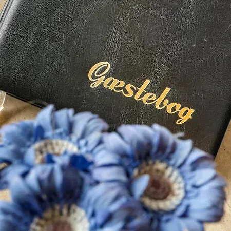 Bv359-blavand-sondertoften-11 Dom wakacyjny *